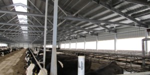 Корівник Хейдер Корівник Хейдер